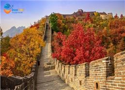 Tour Du Lịch Trung Quốc Khám Phá Thượng Hải - Bắc Kinh 7N6Đ